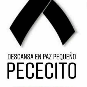 Meet your Posher, Eva